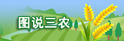 图说三农